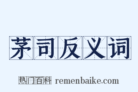 茅司反义词是什么意思的图片